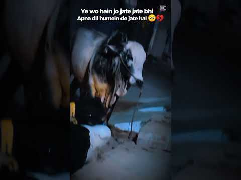 Ab ye ronnaqe ek ghante main khatham hone wali hain😭😓😞