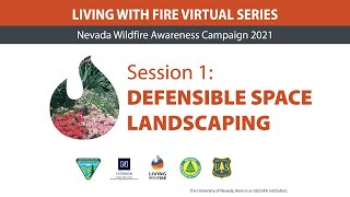 Defensible Space Landscaping