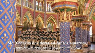 Sicut Cervus - Louvor Perene com os Arautos