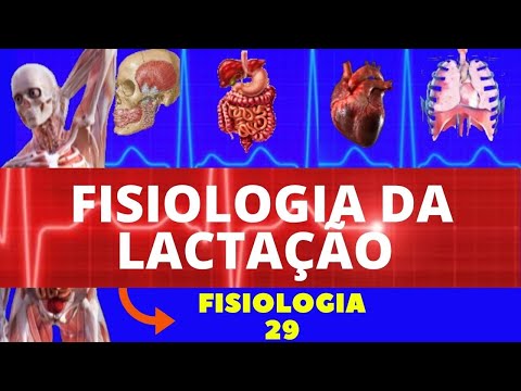 Vídeo: Lactação - o que é esse processo?