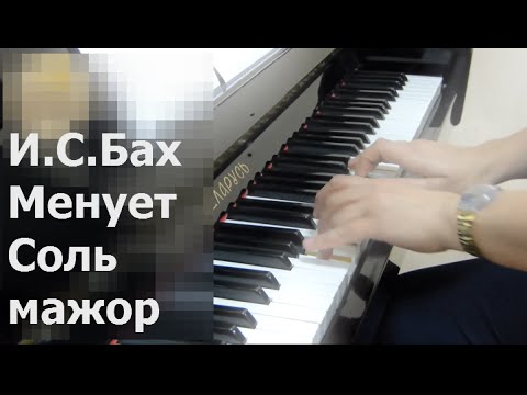 Бах менует Соль мажор тетрадь Анны Магдалены ноты фотепиано | Bach menuet g major