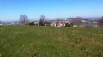 Allenamento Coursing - Gennaio 2015