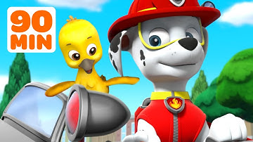 PAW Patrol redt schattige dierenbaby’s! 🐥🐒 | 90 Minuten | Nick Jr. Nederlands