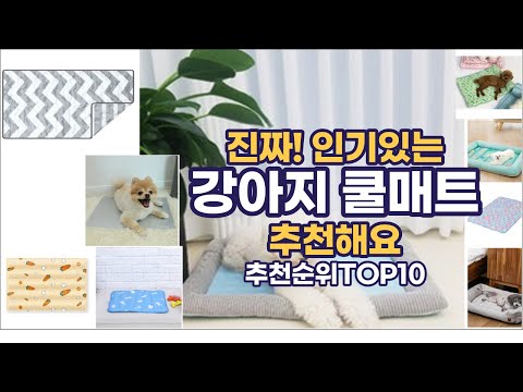 진짜!인기있는 강아지 쿨매트 이거추천합니다. 추천순위 TOP10 2021년