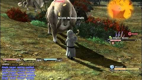 FFXIV Conjurer Solo GamePlay