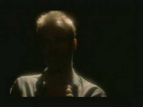 Video Sting - Fields Of Gold