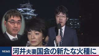 ５分で分かる河井夫妻の「疑惑」【テレ東政治リポート】（2020年1月17日）