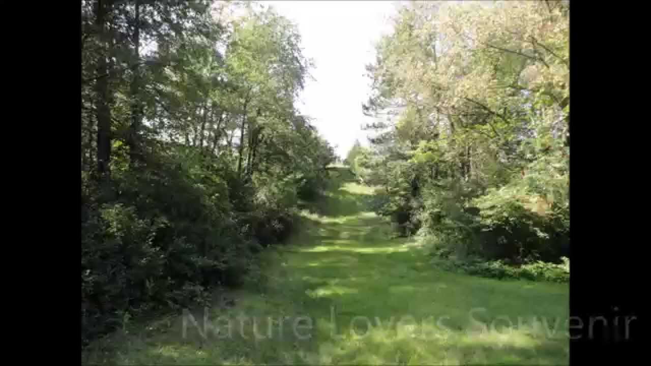 Coal Mine Earth Cache