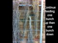 How To Build A Brushwood Fence How To Build A Brushwood Fence