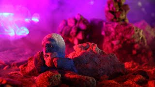 Neofix - Perseverance (Official Stop Motion Clip) 4K
