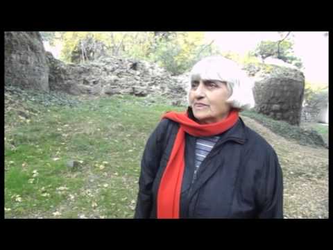 პოეტი მანანა ზაზიკაშვილი...