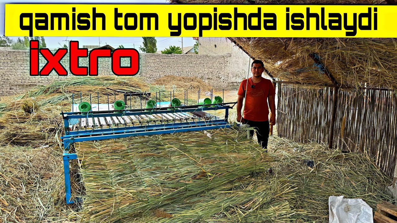 IXTRO QAMISH  LOY BOSISHDAN OLDIN ISHLAYDI ☎️ +998 91-398-48-17