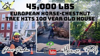 C2 Crane & Tree Service Hanover, PA for Emergency Tree Removal #treeremoval #craneoperator #arborpro