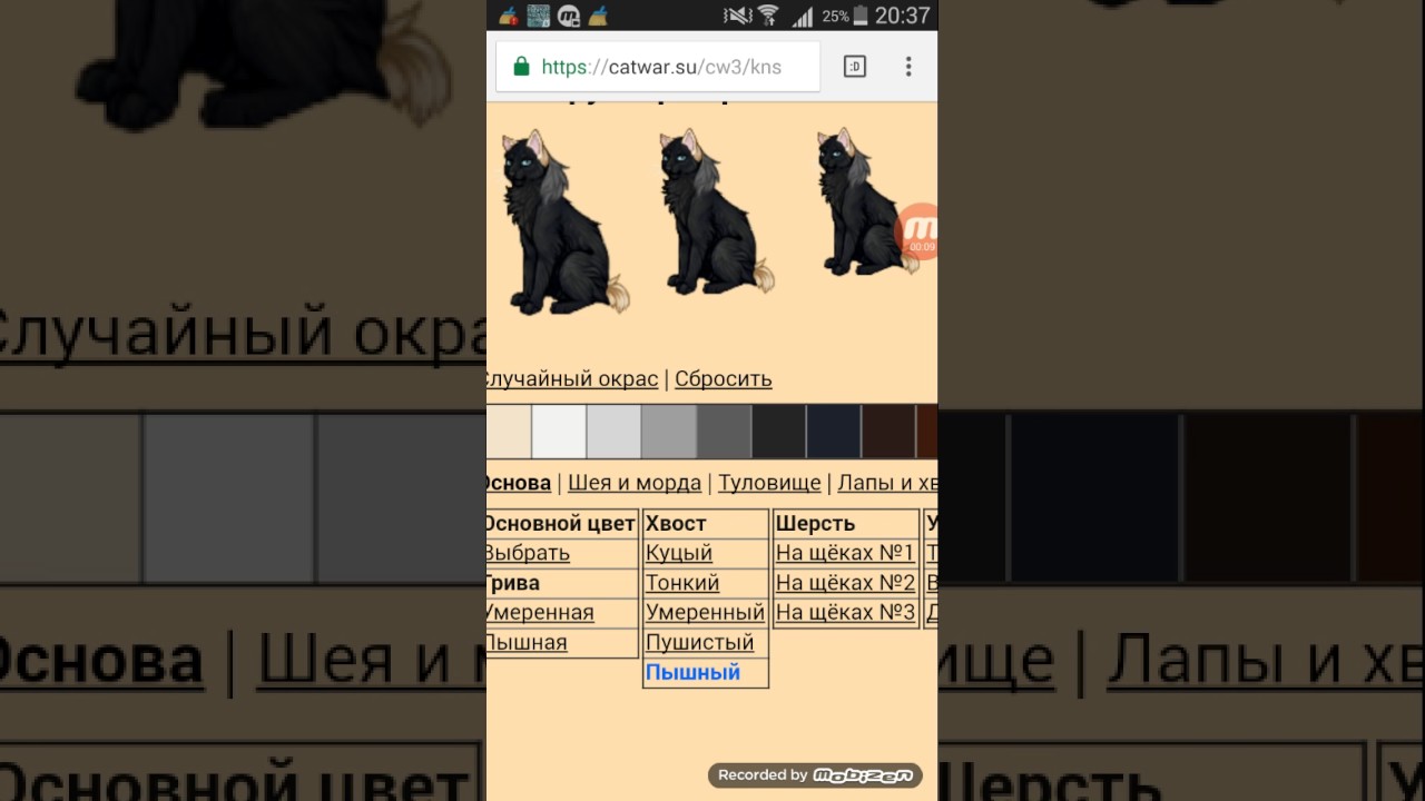 Окрасы catwar