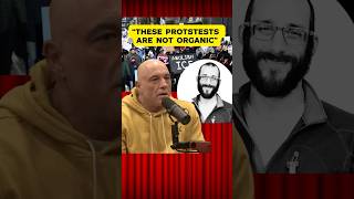 Joe Rogan Connects the Dots on Minneapolis | Its Provably Nonsense