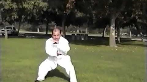 Taichi: Triệu Gia Thái Cực Toàn Ban  - Thái Cực Chưởng 132 thức - 太極拳