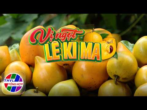 Delta Life: The Sweet Taste of Eggfruit