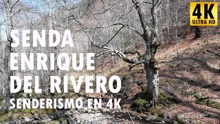 Senda Enrique del Rivero - Senderismo en 4K