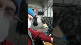 Masajcı Kedi Minnoş