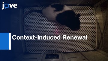 Context-Induced Renewal: Pavlovian-Conditioned Alcohol-Seeking Behavior In Rats l Protocol Preview