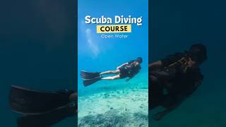 Scuba Diving Course in India- Open Water Diver Certification! Andaman, PADI, Diving License