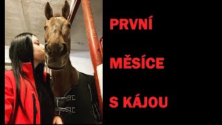 Vlog: První měsíce s Kájou / cval, první skoky i pád