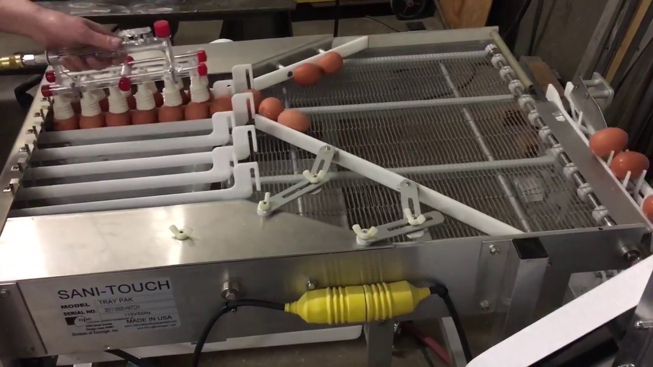 SaniTouch Model 10CS with Tray Pak (Egg Washer and Packer) YouTube