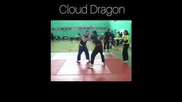 Tai Chi Chuan Push Hands Competition. What is it? #taichi #martialart #taiji