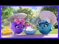 Sunny Bunnies - Giant Cupcake Surprise! | Kids Cartoons | WildBrain Workshop