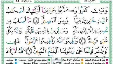 حمزة الجزائري سورة التغابن مكتوبة برواية ورش عن نافع240P