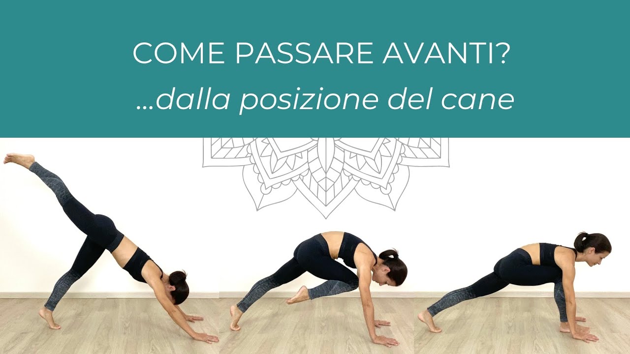 Passo avanti dalla posizione del cane | Yoga Vinyasa