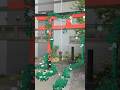 Unity + Niantic SDK + Meshing "Footstep Foliage" in Augmented Reality
