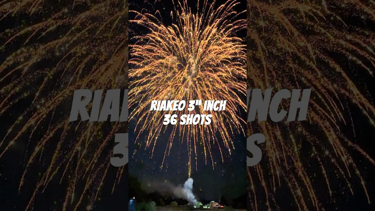 Riakeo 3” Inch 36 shots Nishiki willow 🔥 