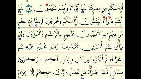(11) سورة البقرة  من 83 الى 86
