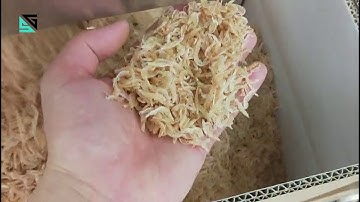 SG Shrimp Color Sorter Machine/Shrimp Sorting Machine/Sortex Machine