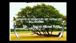 .Bakmayın Siz Benim Kuru Bir Yaprak Gibi Sallandığıma