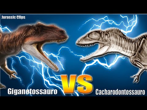 GIGANOTOSSAURO (VS) CACHARODONTOSSAURO - Battle 1.0