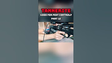 Have you tried pellets that go BOOM?