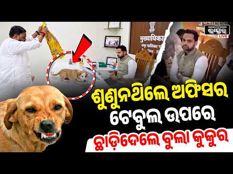 ଏହି ଭୁଲ୍ ପାଇଁ ଅଫିସରଙ୍କ ଟେବୁଲରେ ସିଧା ଛାଡିଦେଲେ ବୁଲା କୁକୁର I