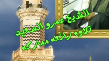 الشيخ عمرو السعيد تلاوه رائعه
