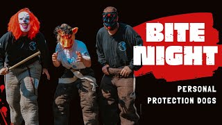 BITENIGHT at Global K9 Protection Services
