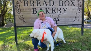 Information Halo's Hangouts on Florida's Adventure Coast - Bread Box Bakery (2022) Update