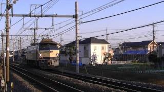 5775レ　EF66 33単機