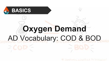 What are COD and BOD?