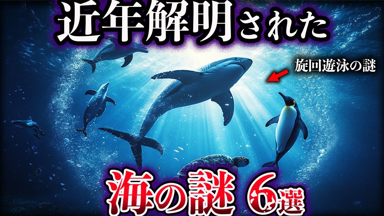 【ゆっくり解説】近年、解明された海の謎６選【Part3】