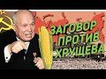 АНТИПАРТИЙНАЯ ГРУППА: ЗАГОВОР ПРОТИВ ХРУЩЁВА.