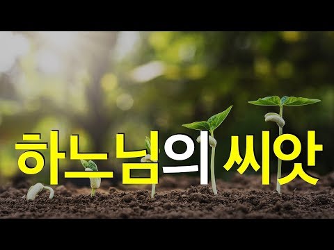 영상썸네일
