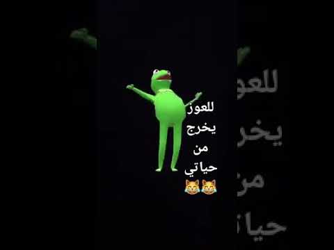 الي عايز يخرج من حياتي