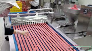 YD 261 Soft Dog Treats Meat Sticks Making Machine / 寵物肉條擠出機/擠出機 screenshot 5