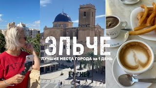 видео: 🎥 Эльче, Испания - город пальм и истории | Путешествие по Эльче картинка: 🎥 Эльче, Испания - город пальм и истории | Путешествие по Эльче